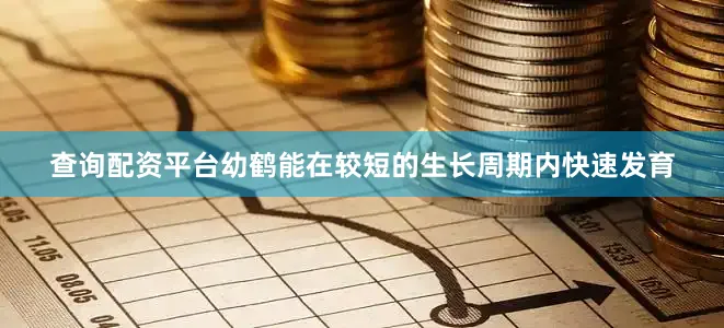 查询配资平台幼鹤能在较短的生长周期内快速发育